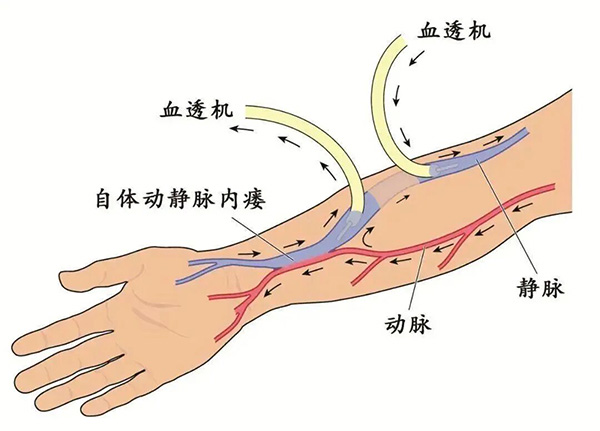 DM_20260109140047_001.jpg DM_20260109140047_001.jpg