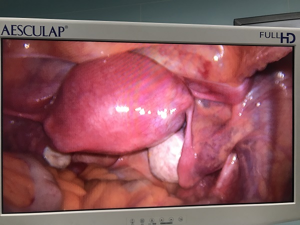 微信(xin)圖片_20200610100345.jpg 微信(xin)圖片_20200610100345.jpg