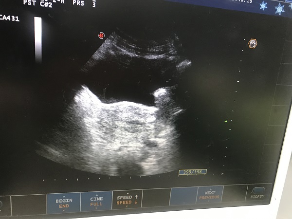 微信(xin)圖片_20200610100428.jpg 微信(xin)圖片_20200610100428.jpg