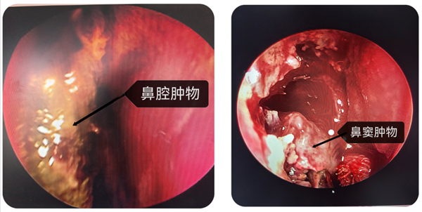 微信(xin)圖片_20240412171230.png 微信(xin)圖片_20240412171230.png