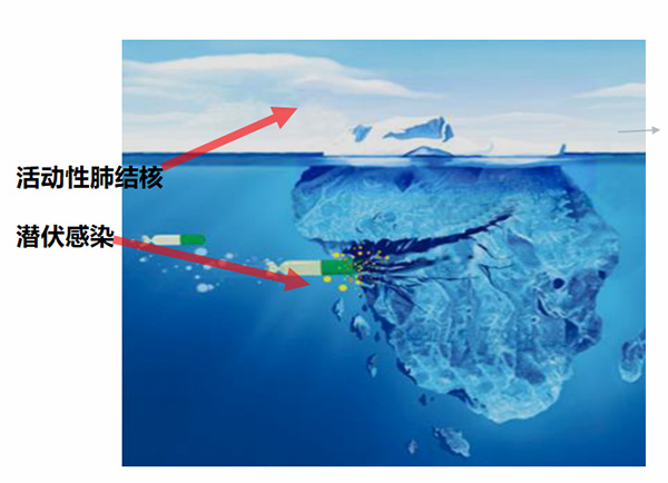 DM_20251226104702_001.jpg DM_20251226104702_001.jpg