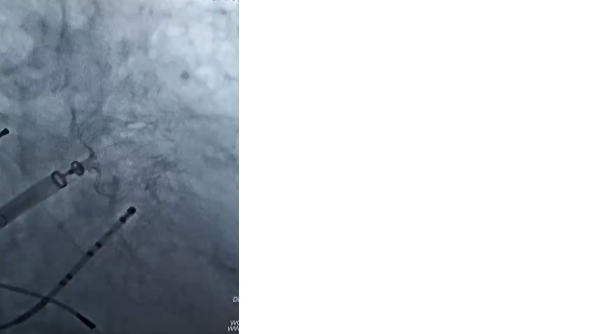 圖片2.png 圖片2.png