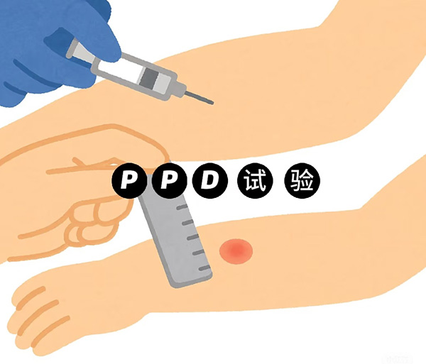 DM_20251226104702_002.jpg DM_20251226104702_002.jpg